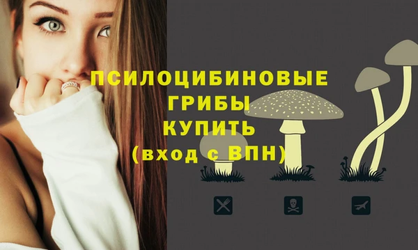 mdma Костерёво