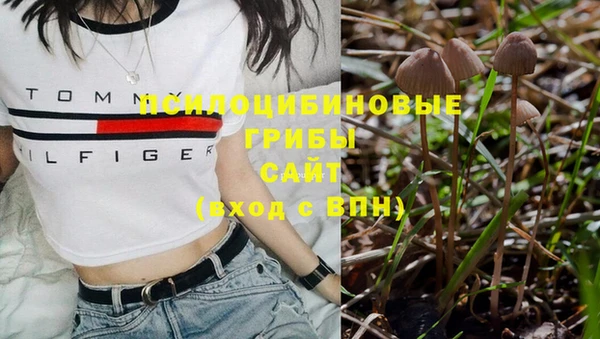 таблы Коряжма