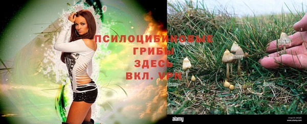 круглые Краснослободск